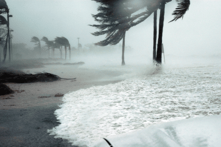 Hurricane in Florida